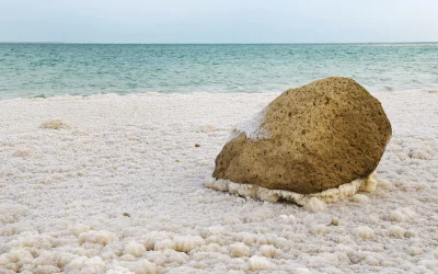 The Science of Soaking: How Dead Sea Bath Salts Enhance Your Health